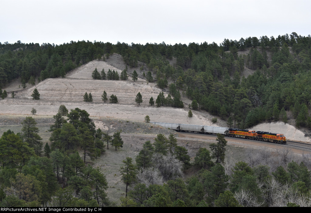 BNSF 3989/7829